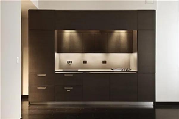 Pine St #805 - Photo 4 of 6