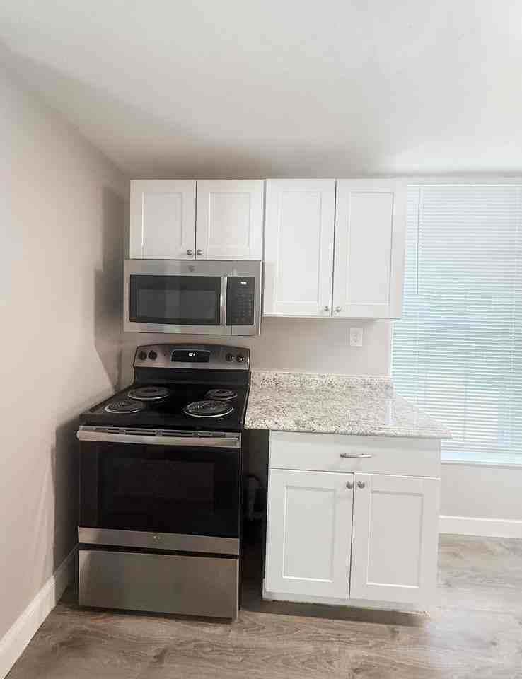 Beautifully updated apartments available in historic 4th & Gill neighborhood! - Photo 5 of 17