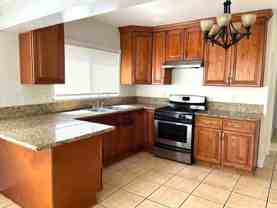 LB0943 (Chestnut) - Photo 1 of 1