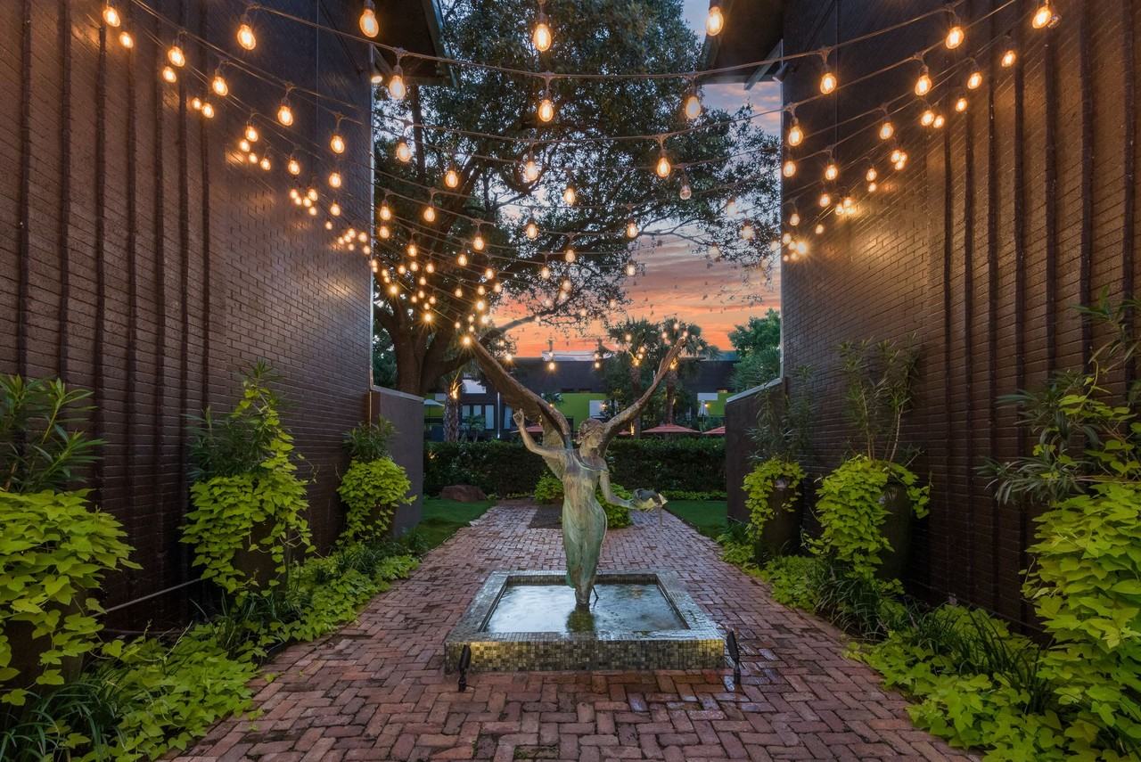 Fox Trott - Photo 3 of 50