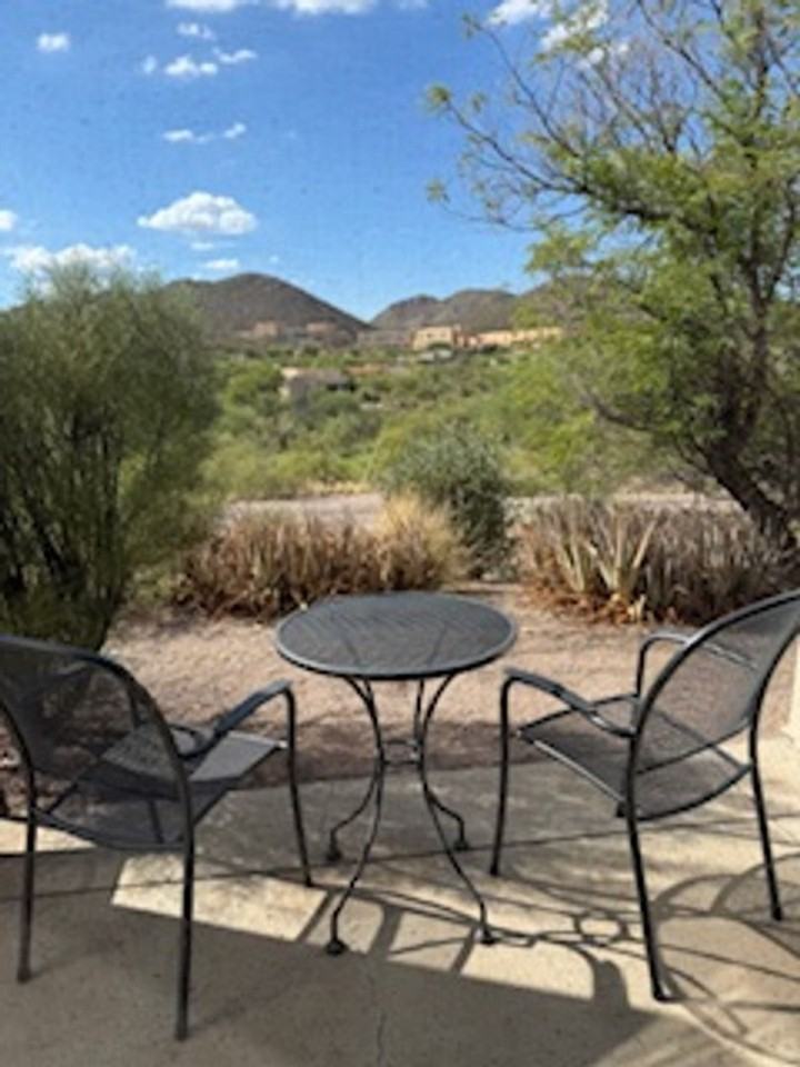 3720 W Placita Del Correcaminos - Photo 5 of 24