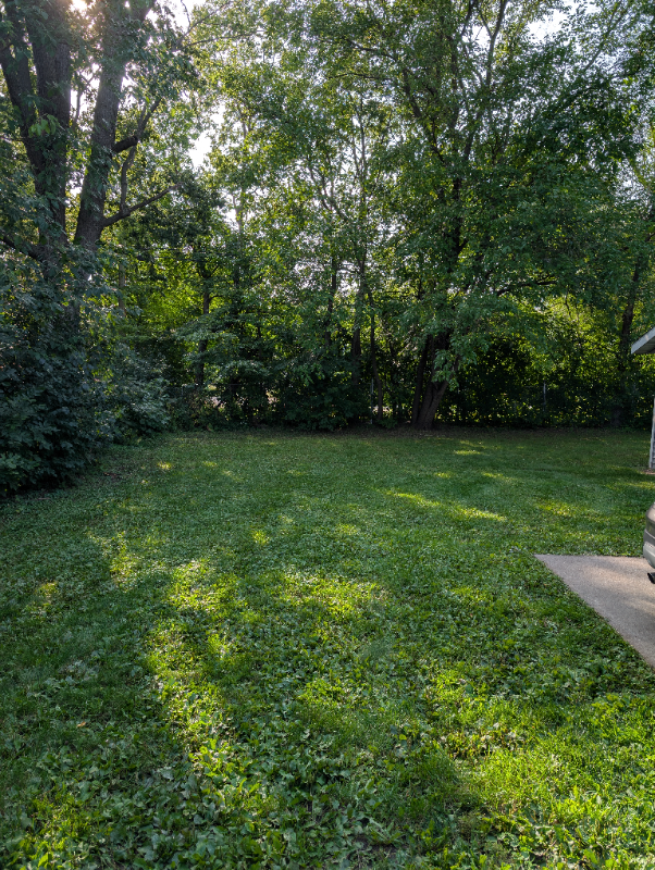 516 Franklin St - Photo 3 of 17