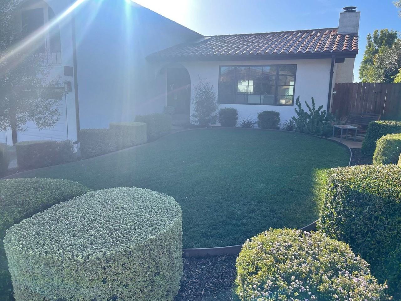 817 Forest Glen Dr - Photo 2 of 23