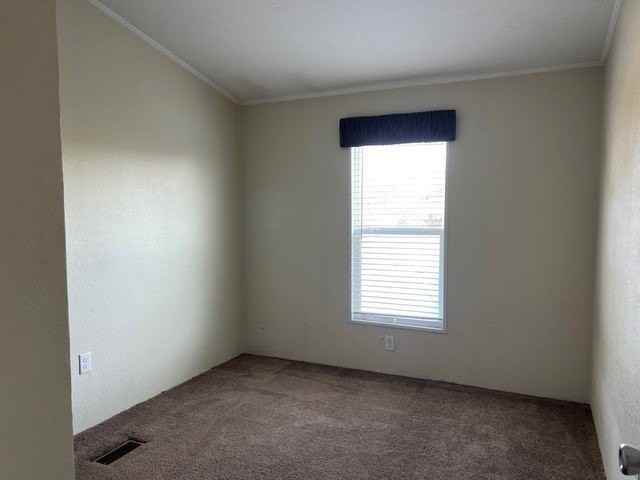 5739 County Road 308 - Photo 6 of 7