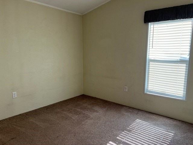 5739 County Road 308 - Photo 7 of 7