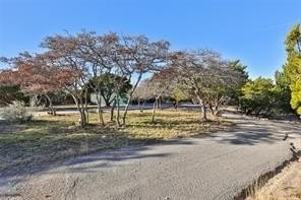 featured image of 181 Rabbit Run