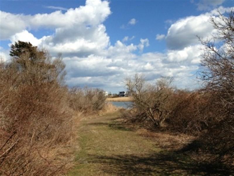 441 Jobs Ln - Photo 3 of 10