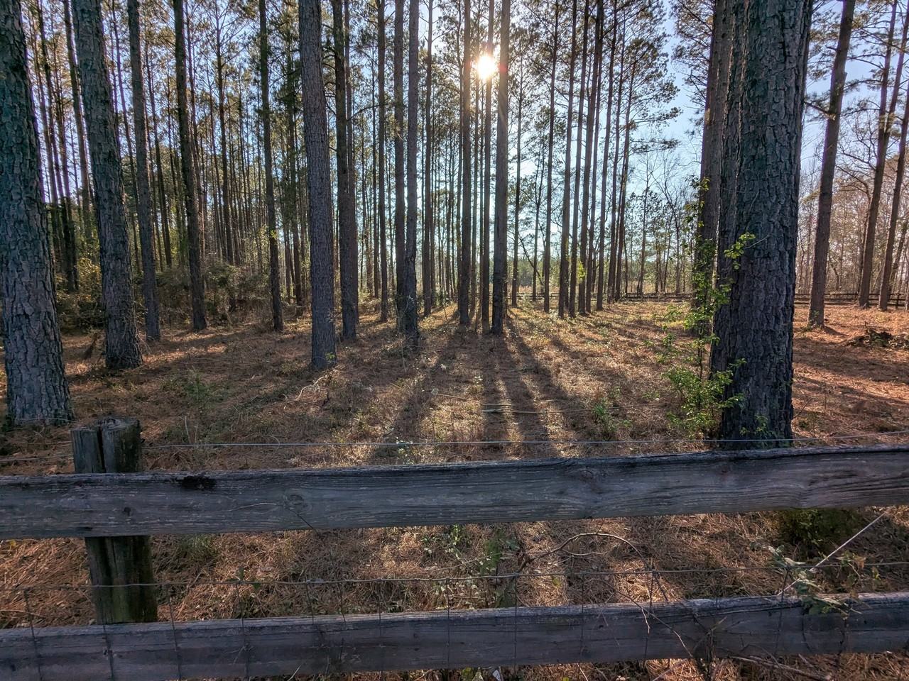 250 Cassie Ree Rd #NA - Photo 4 of 12