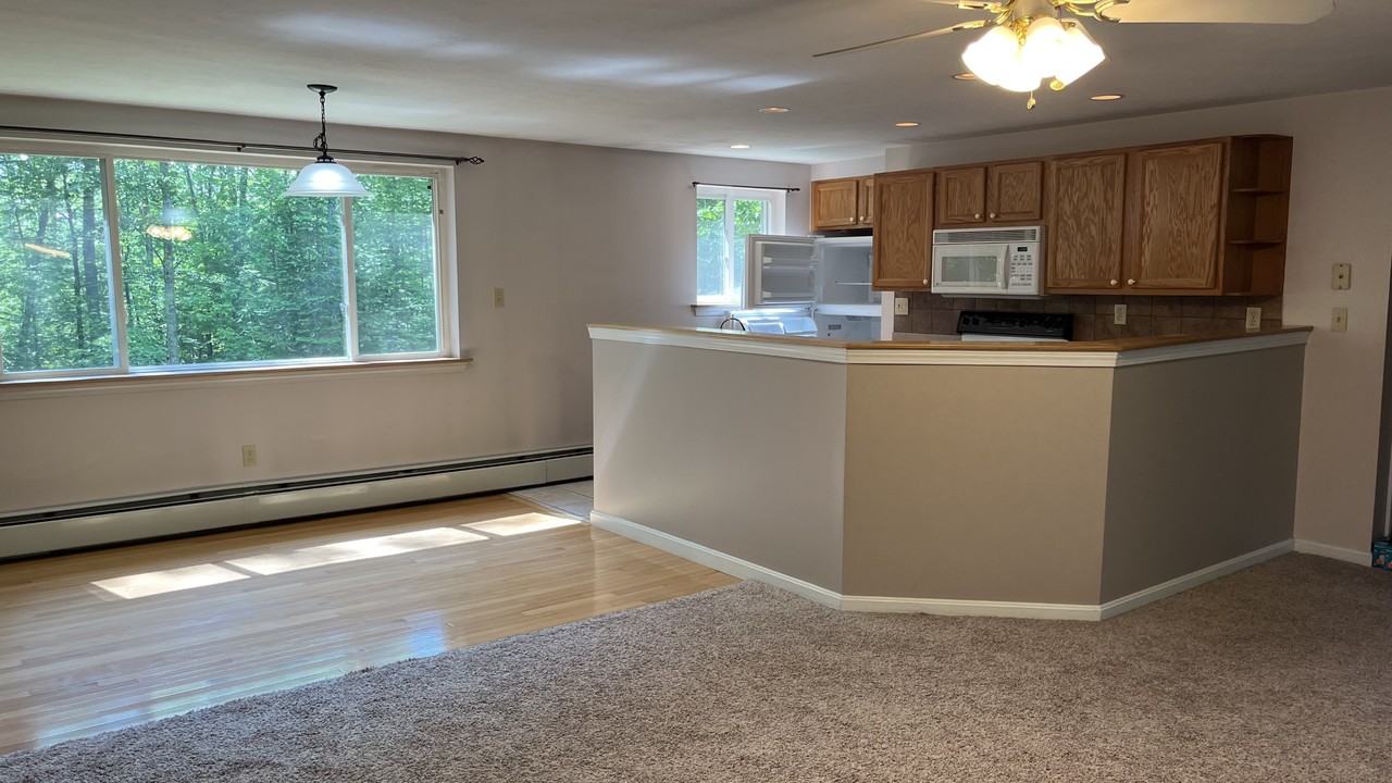 8 Moonlit Dr #1 - Photo 3 of 16