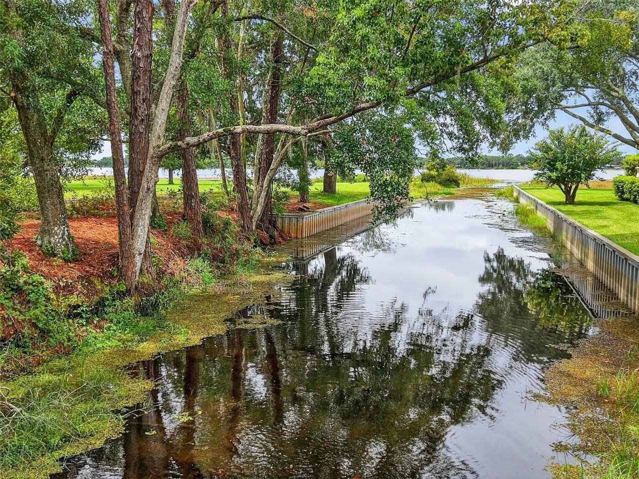 33901 East Lake Joanna Drive - Photo 2 of 31
