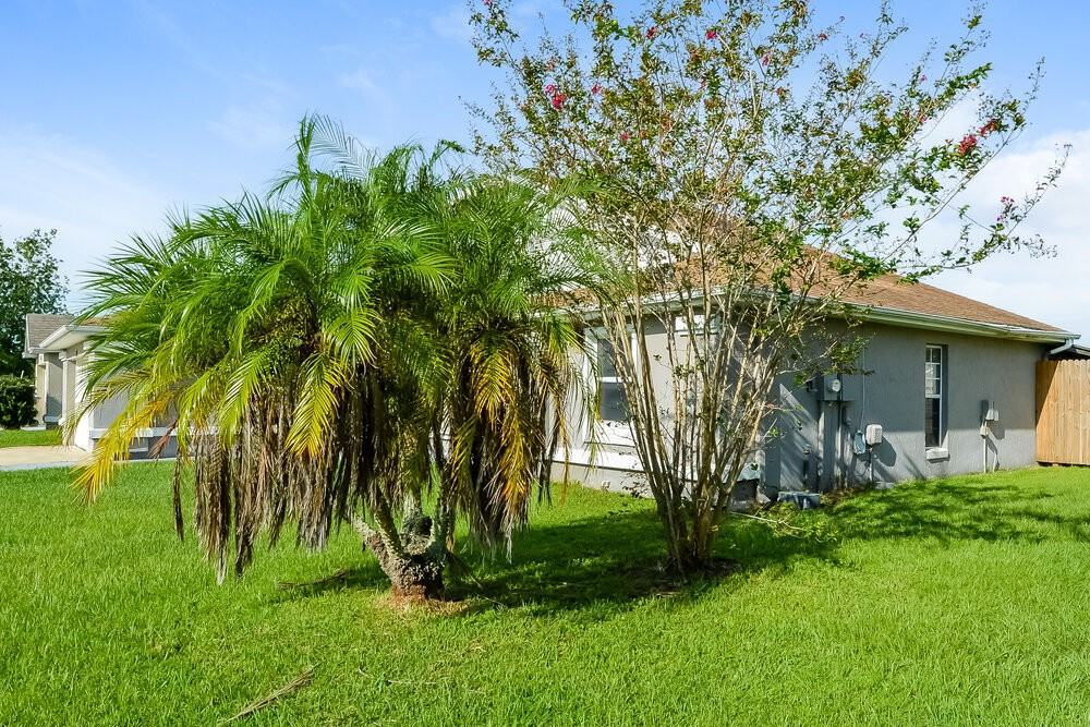 238 Satinwood Cir - Photo 3 of 16