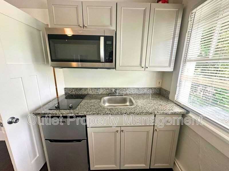 133 E Concord St #1 - Photo 4 of 7