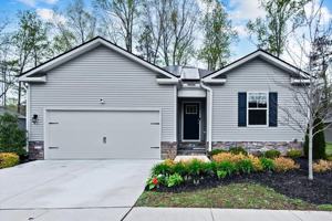 featured image of 18099 Coolidge Ln