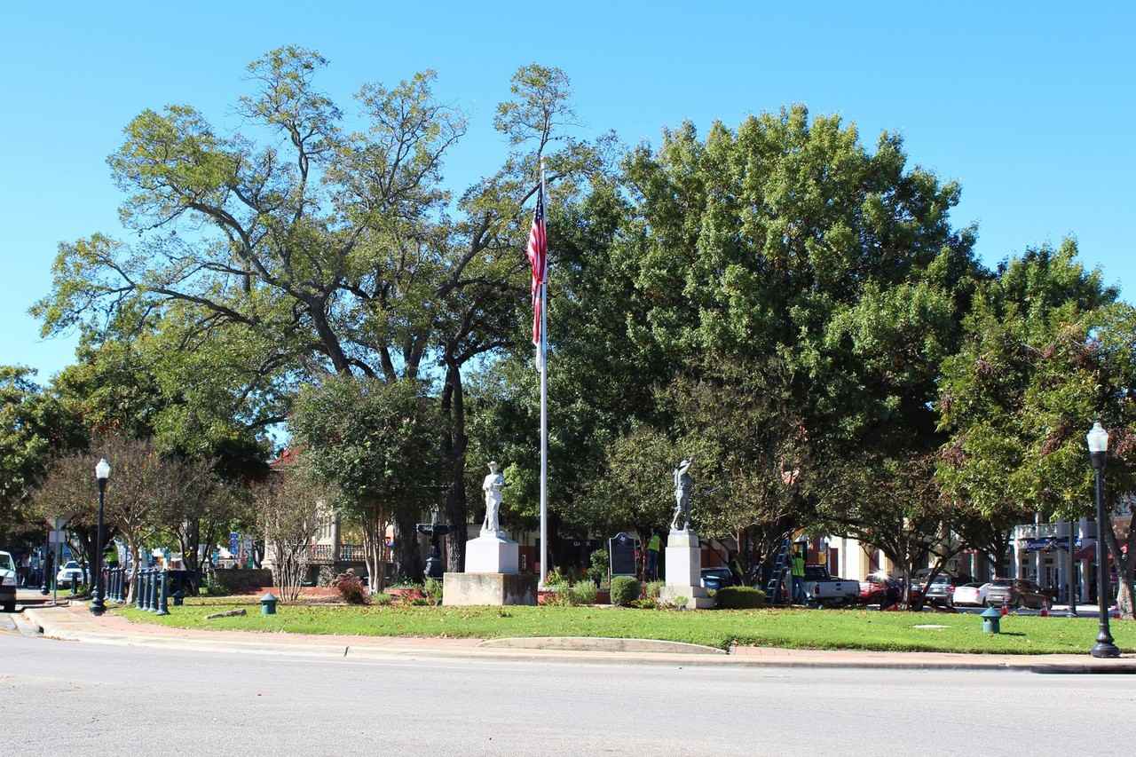 730 Howard St. - Photo 5 of 18