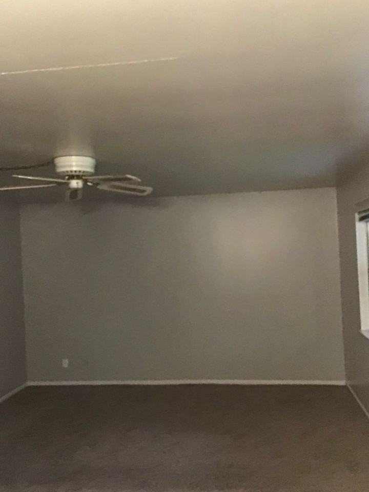 730 Howard St. - Photo 7 of 18