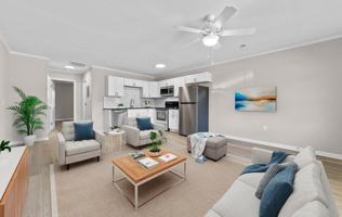featured image of 167 Shelly Dr