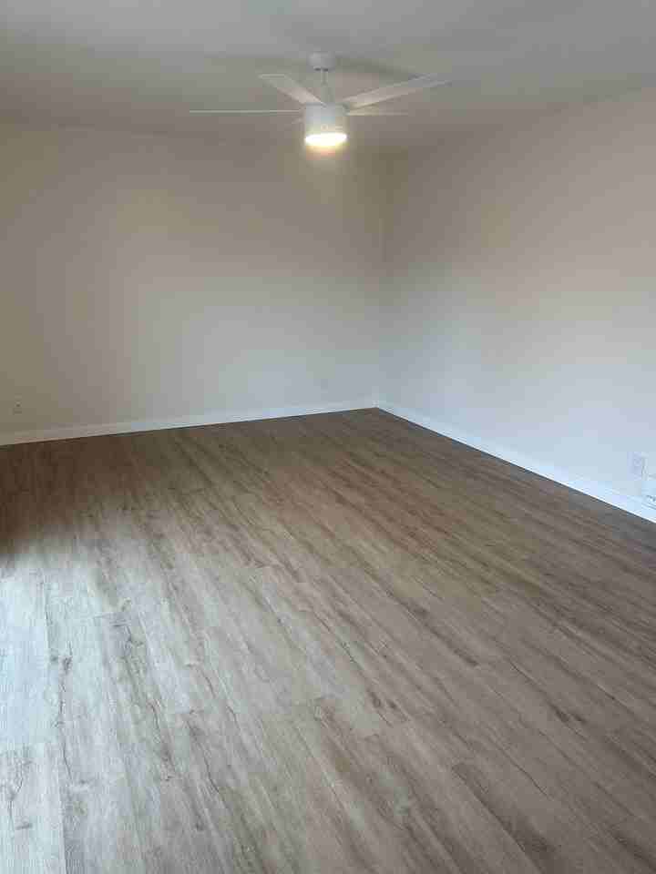 Plum Street Garden Apartments - Photo 4 of 50