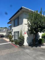 Laurel Street - Photo 1 of 1