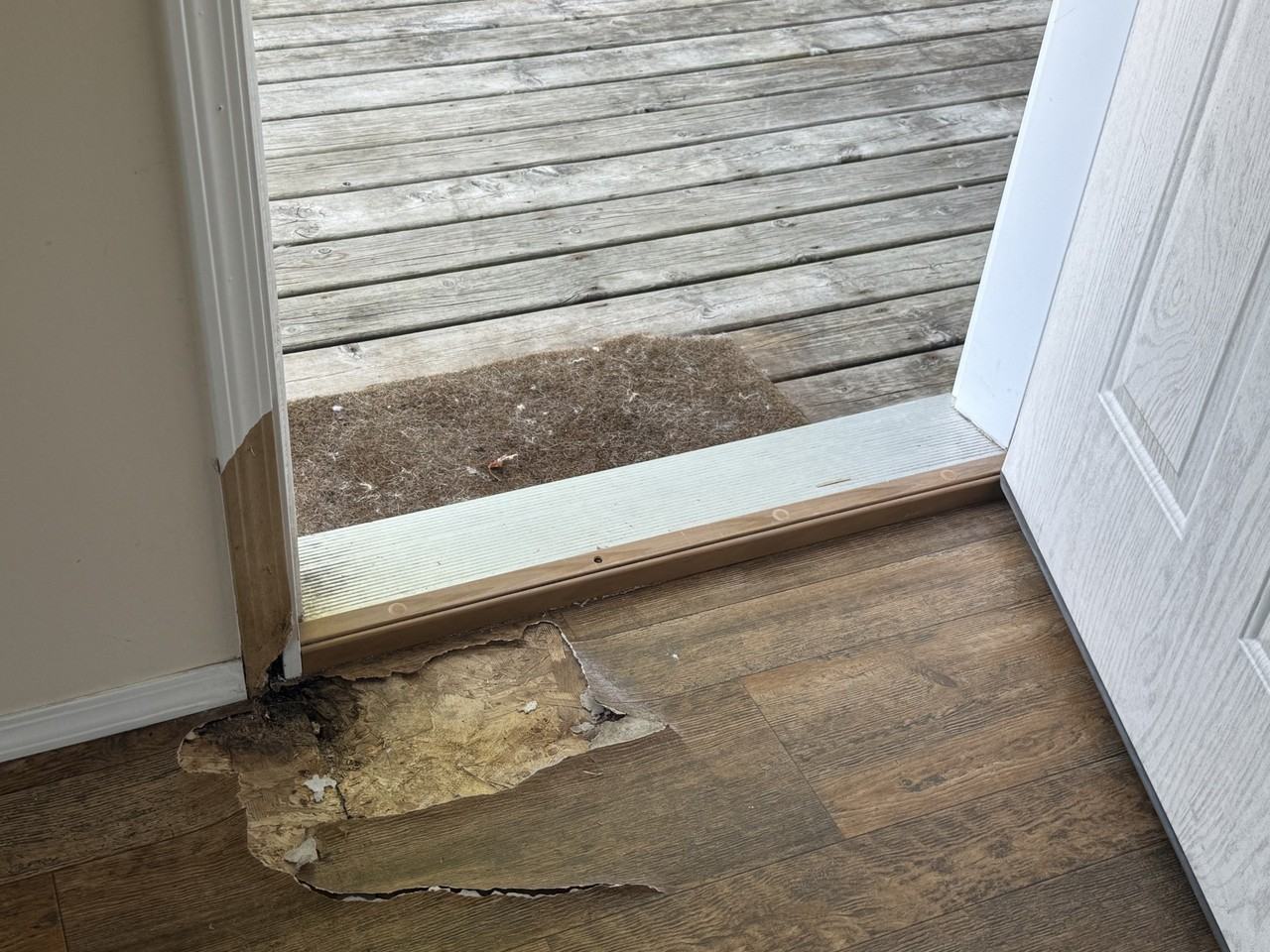 4431 Buttercup Ln #218 - Photo 3 of 12