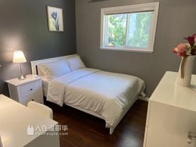 4800 Rumble Street - Photo 1 of 1