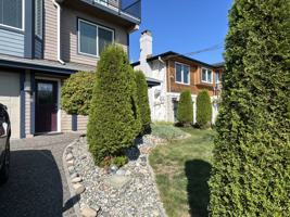 featured image of Vista Dr & Buena Vista Ave