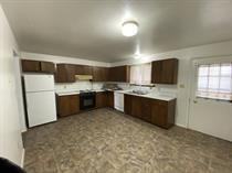 917 Alder St #2 - Photo 7 of 11