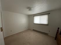 917 Alder St #2 - Photo 3 of 11