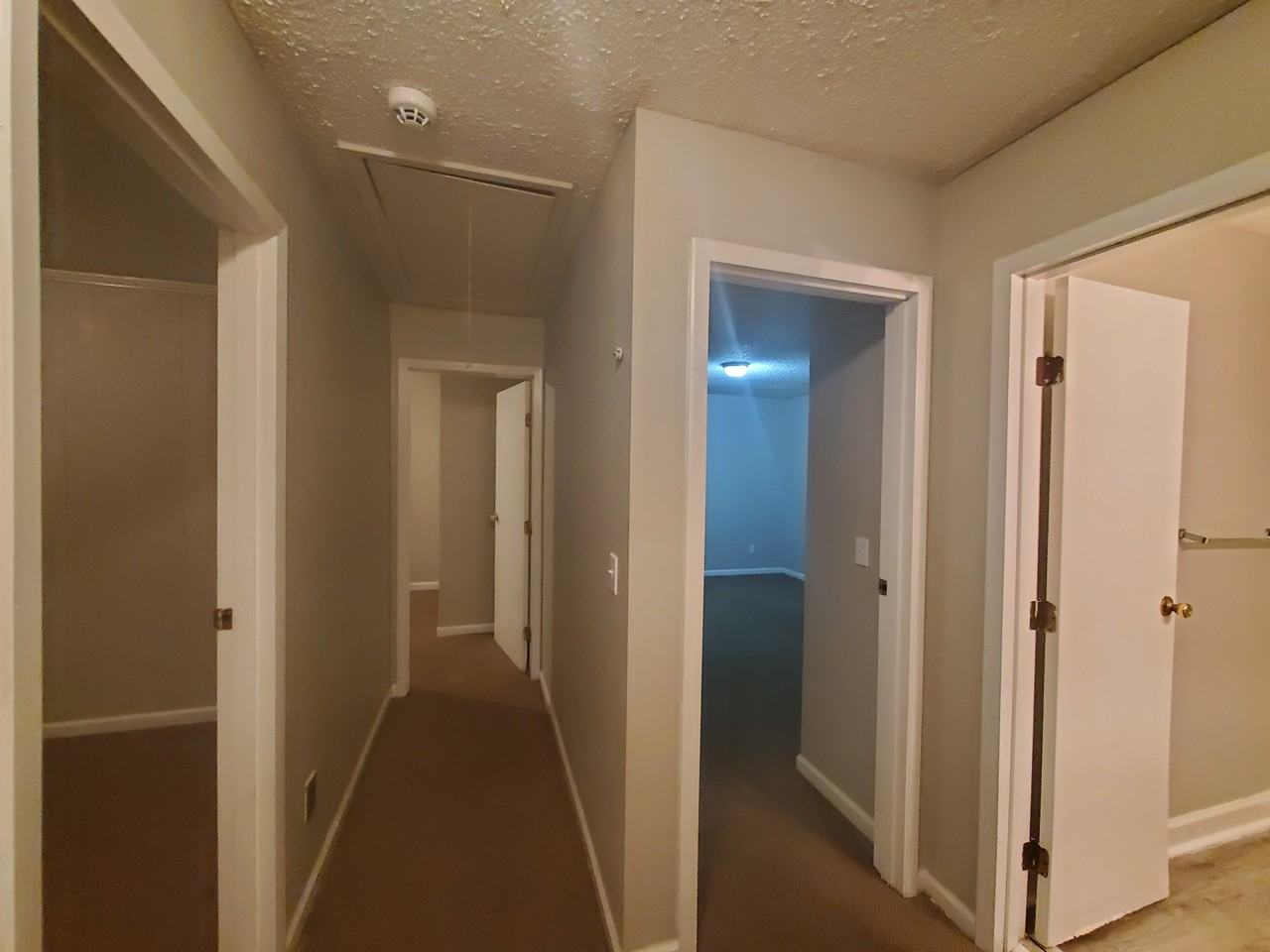 1335 Cactus Ave - Photo 4 of 19