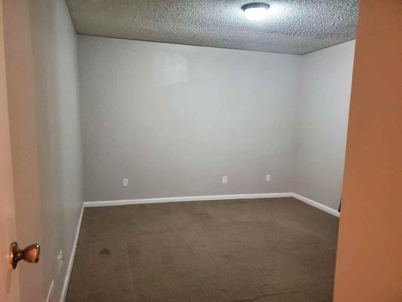 1335 Cactus Ave - Photo 5 of 19