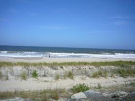 1187 Ocean Ave - Photo 1 of 1
