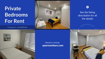 featured image of Nairn Avenue & Lane North Ascot West Earlscourt