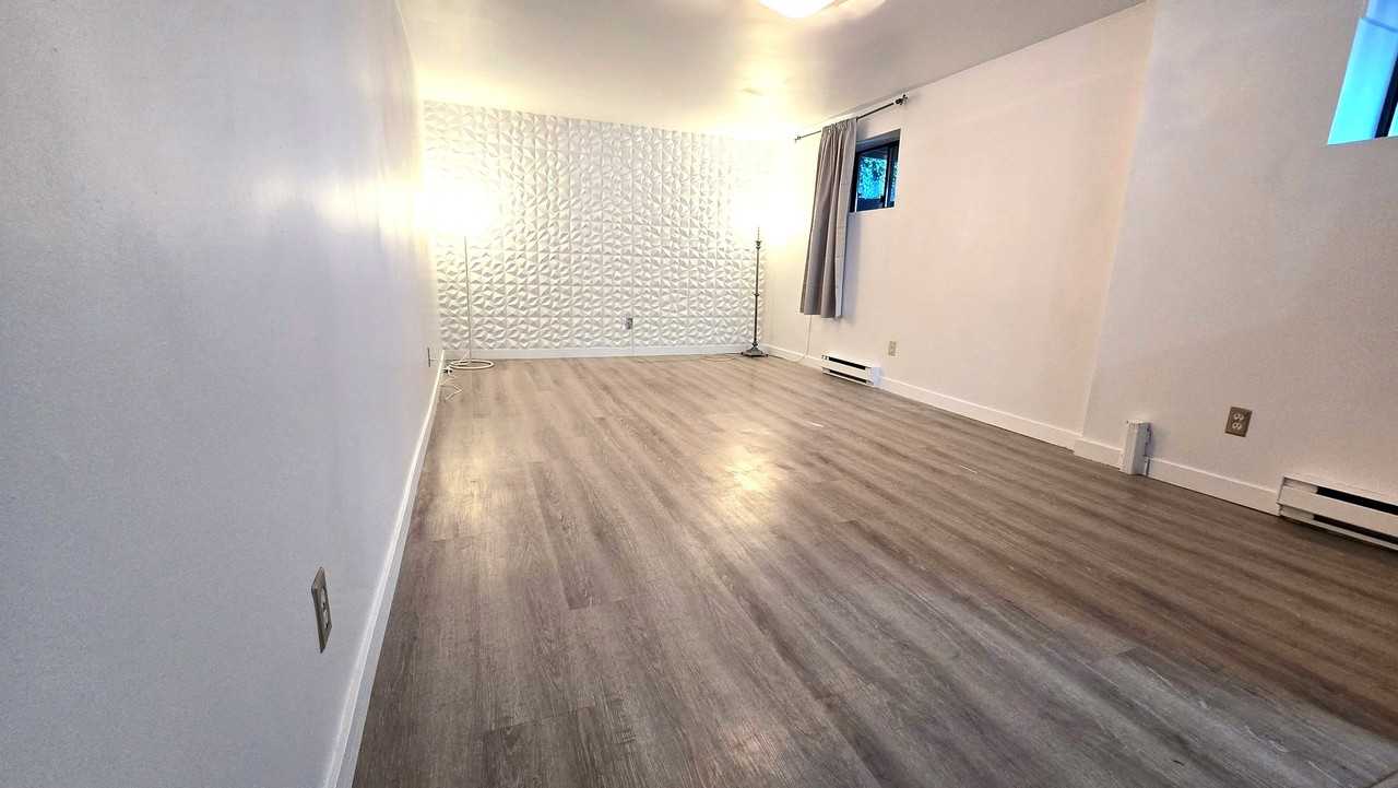 823 Scott Street Basement - Photo 2 of 10