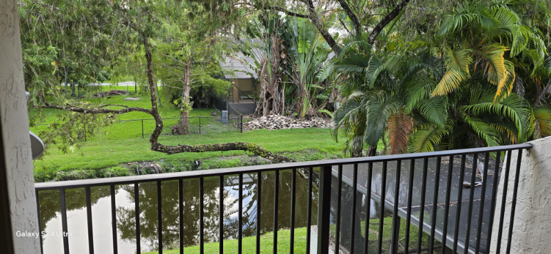 11744 Terra Bella Blvd #122 - Photo 3 of 15