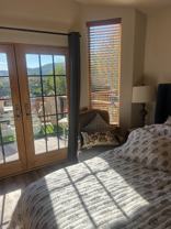 2517 Lower Lando Ln - Photo 1 of 1