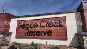 972 Harold Pass - Photo 3 of 21