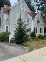 259 Lowell Ave #2 - Photo 1 of 1