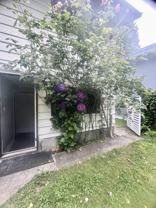 2793 William Avenue - Photo 1 of 1