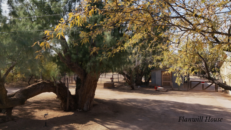 3349 N Flanwill Blvd - Photo 3 of 12