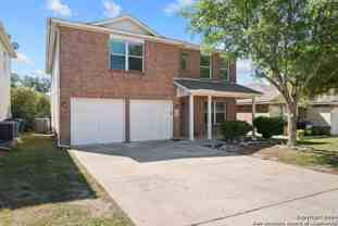 3818 Alpine Aster - Photo 1 of 1