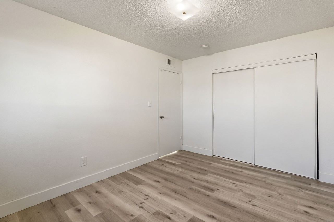 The Palms - Photo 5 of 13