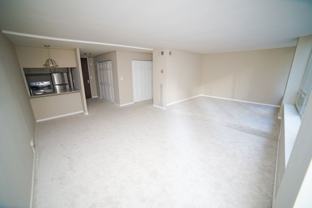 233 E Erie St ##1208 - Photo 1 of 1