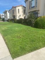 1430-1448 1/2 S Orange Grove Ave - Photo 1 of 1