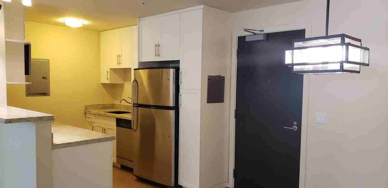 1810 Kaioo Dr #B310 - Photo 2 of 14