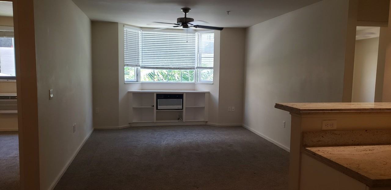 1810 Kaioo Dr #B310 - Photo 5 of 14