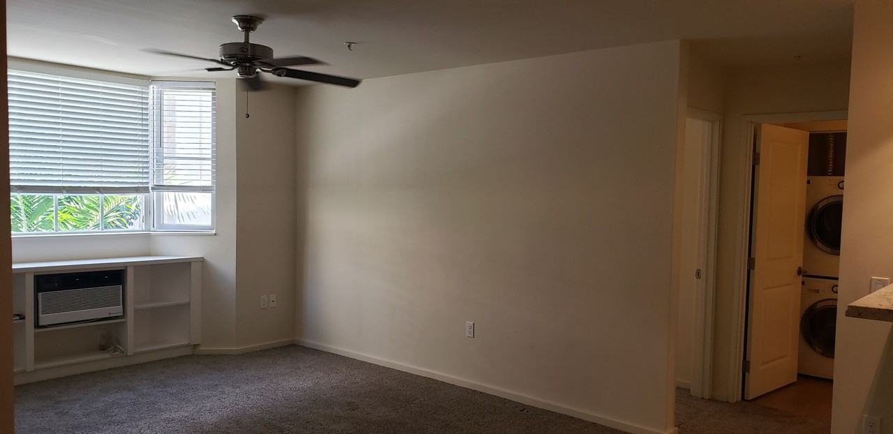 1810 Kaioo Dr #B310 - Photo 6 of 14