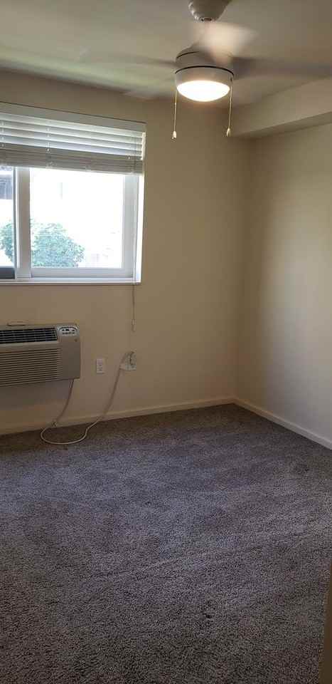1810 Kaioo Dr #B310 - Photo 7 of 14
