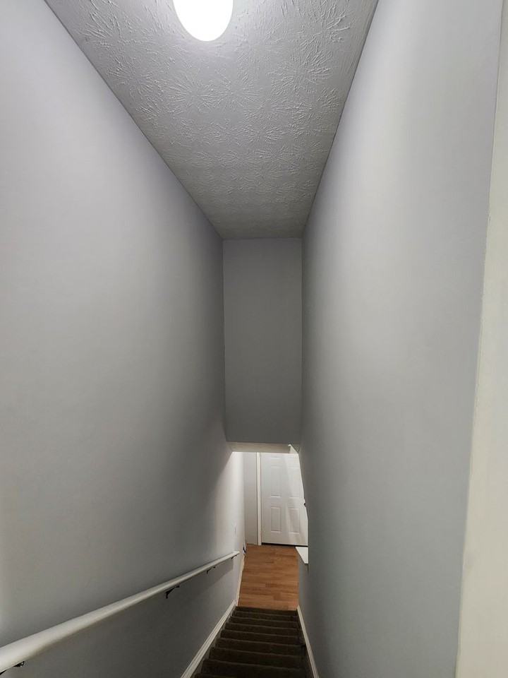 6873 Mahonia Place - Photo 3 of 8