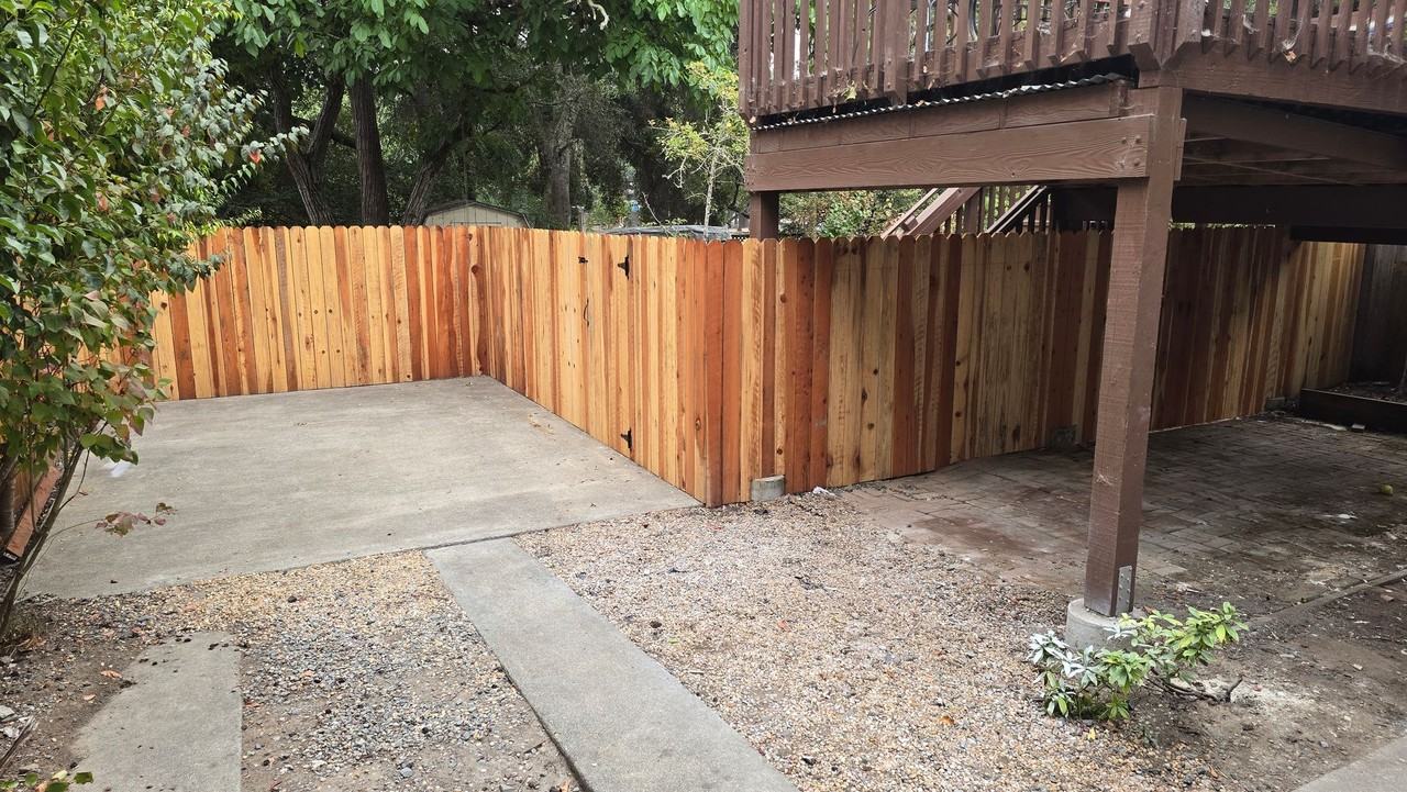 7331 Bodega Avenue - Photo 3 of 12