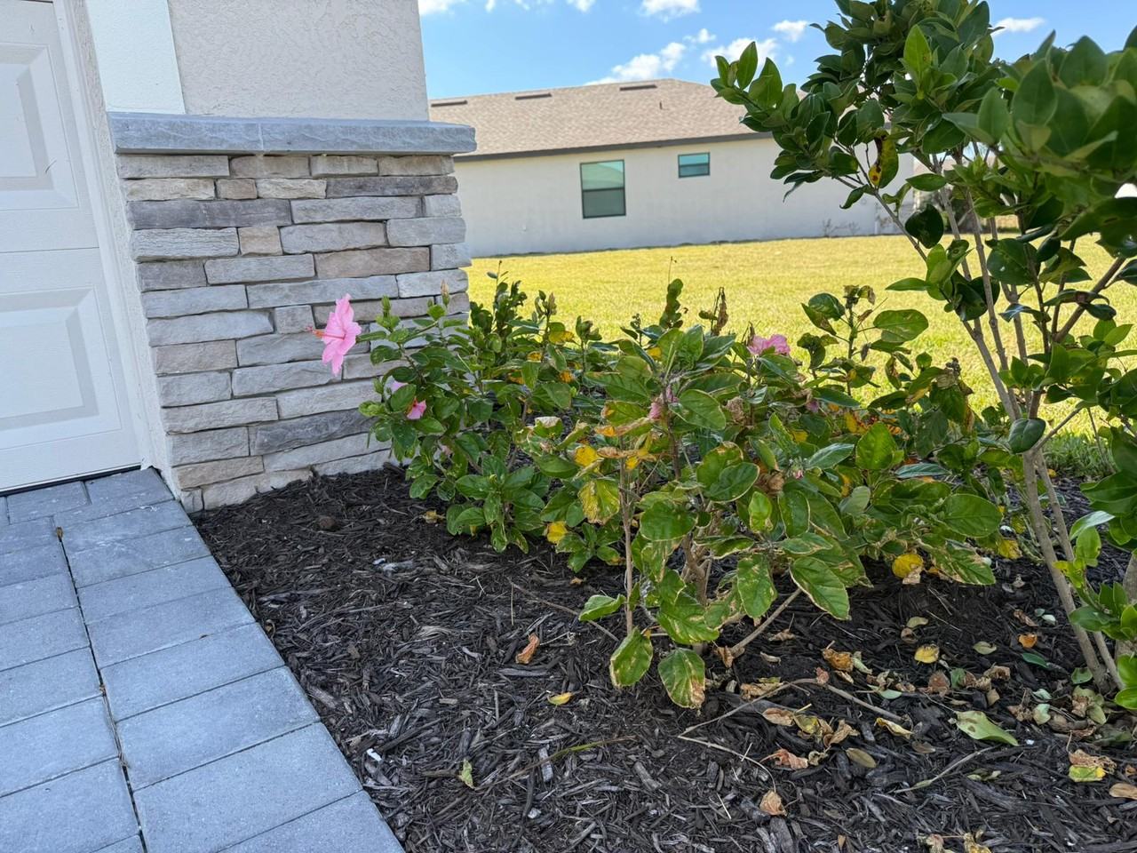 1553 Saddlewood Cir #NA - Photo 4 of 33