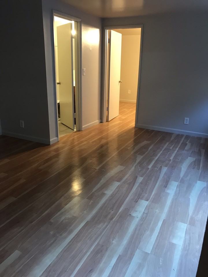 6526 Rainier Ave S #3 - Photo 3 of 19